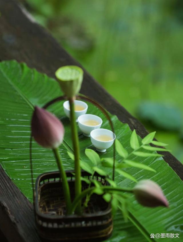 天天彩澳门天天彩,生活细碎，万物成诗