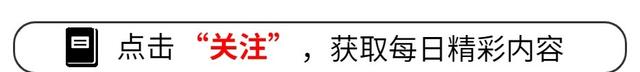 王中王一肖一特一中开奖时间,澳门乒乓赛火热开启：中日高手即将对决，半决赛蓄势待发！  第1张