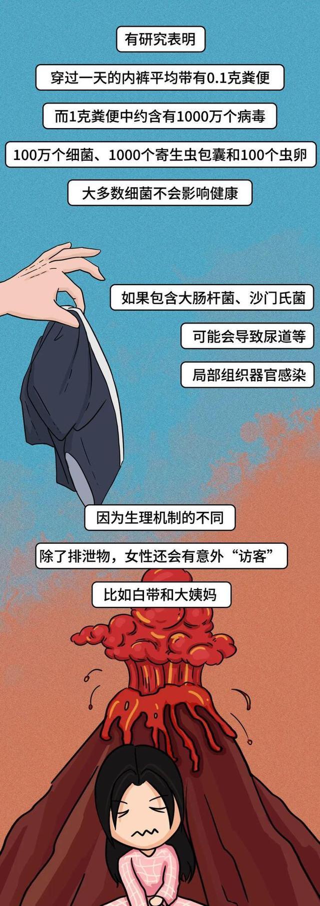 2024一肖一码100%中奖,穿了一天的内裤，能有多少细菌？漫画科普：男生女生都该看看  第4张