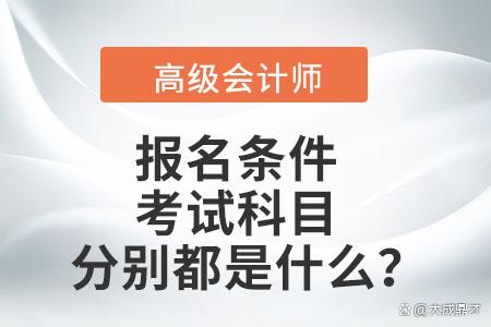 2024新澳免费资科五不中料_备考高会，你需要这些资料_高级会计职称培训  第5张