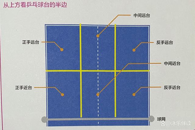 澳门精准免费资料大全使用方法_乒乓球发球规则、发球目的、如何使用长球或短球让对方不宜回击  第6张