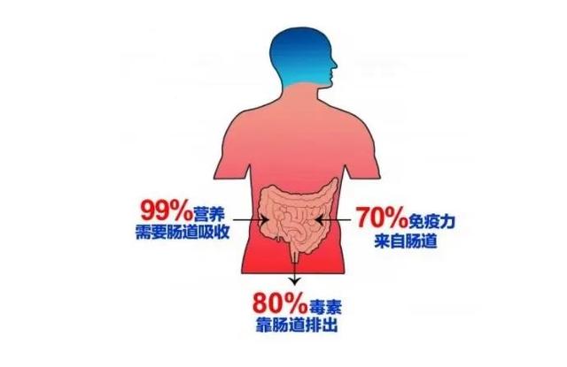 白小姐一码中期期开奖结果查询_健康知识分享｜生活方式不健康，一定要注意排毒！  第1张