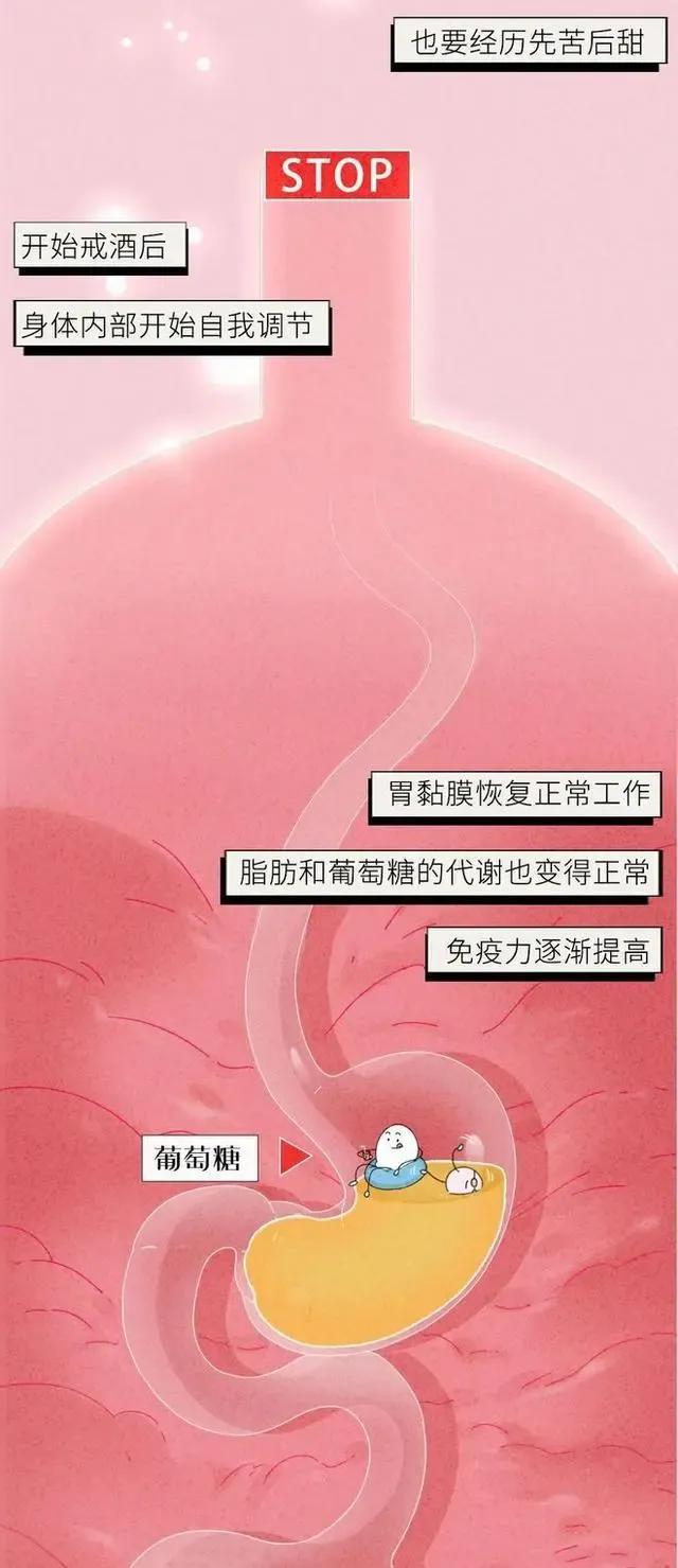 白小姐期期开奖一肖一特_人一旦选择“禁欲”，肉体会有什么变化？漫画科普，看完涨知识了  第17张