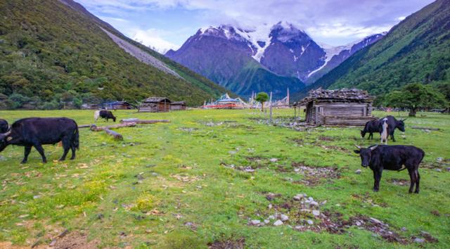 2024澳门资料大全免费图片_国内有哪些经典的自驾旅游线路推荐  第29张