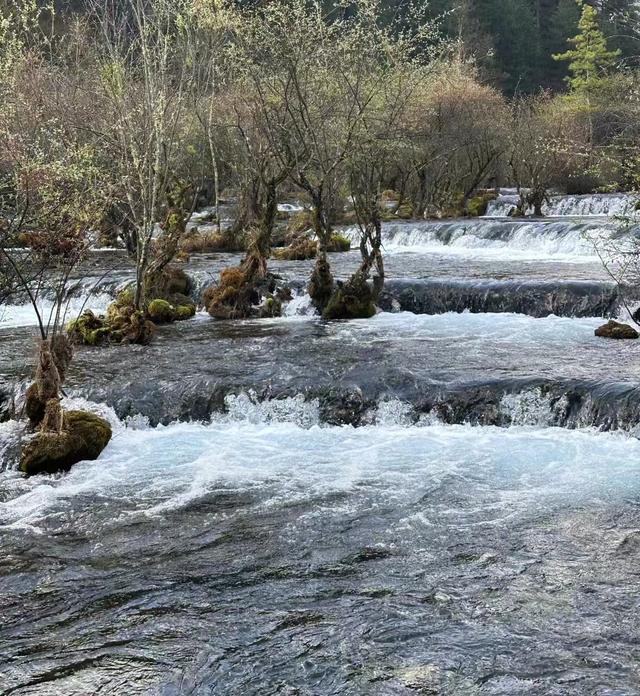 今晚澳门三肖三码开一码_四川旅游攻略自由行攻略，攻略只看这一篇足够  第10张