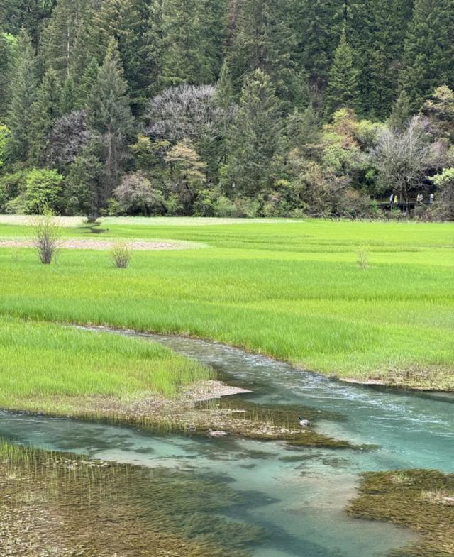 2024澳门精准正版,揭秘！四川旅游攻略自由行攻略，看完这篇就知道怎样省钱省心  第9张