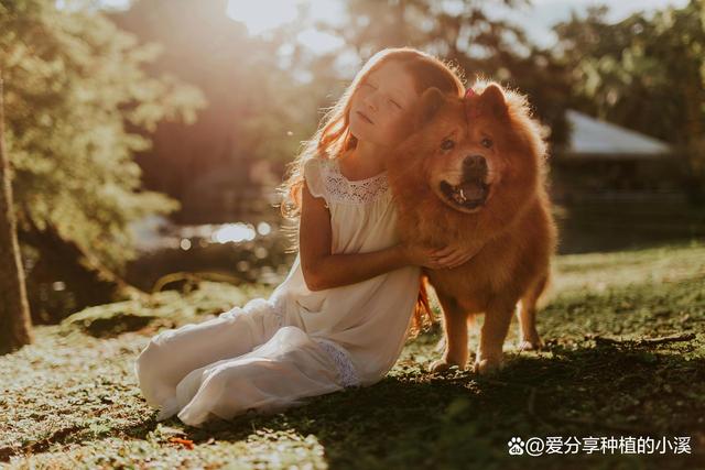 新港澳门免费资料长期公开_活成一个“干干净净”的人，是30岁以后最棒的生活技巧