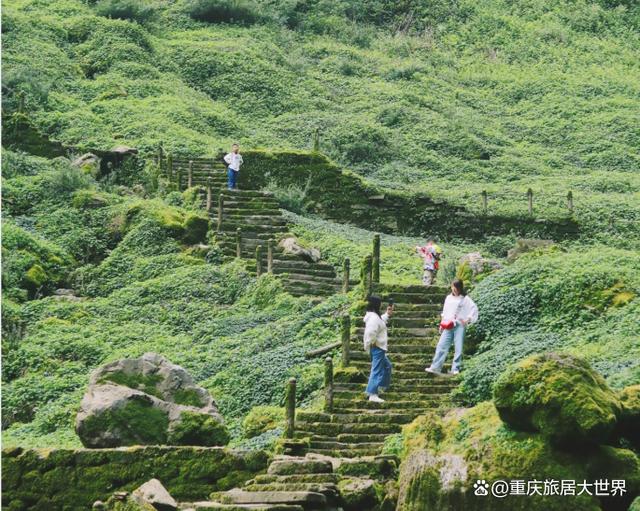 777778888澳门王中王2024年_石柱七曜山生态旅游度假区是一个充满魅力和活力的旅游胜地  第2张