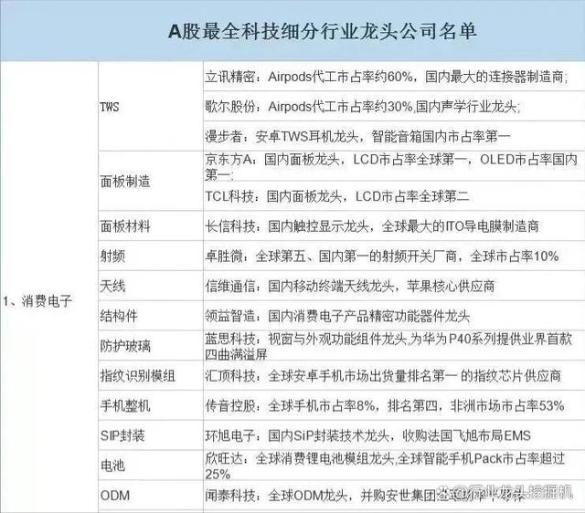 2024新奥资料免费精准051_大科技：消费电子+国内龙头+半导体+医药+汽车+6G+卫星互联网  第2张