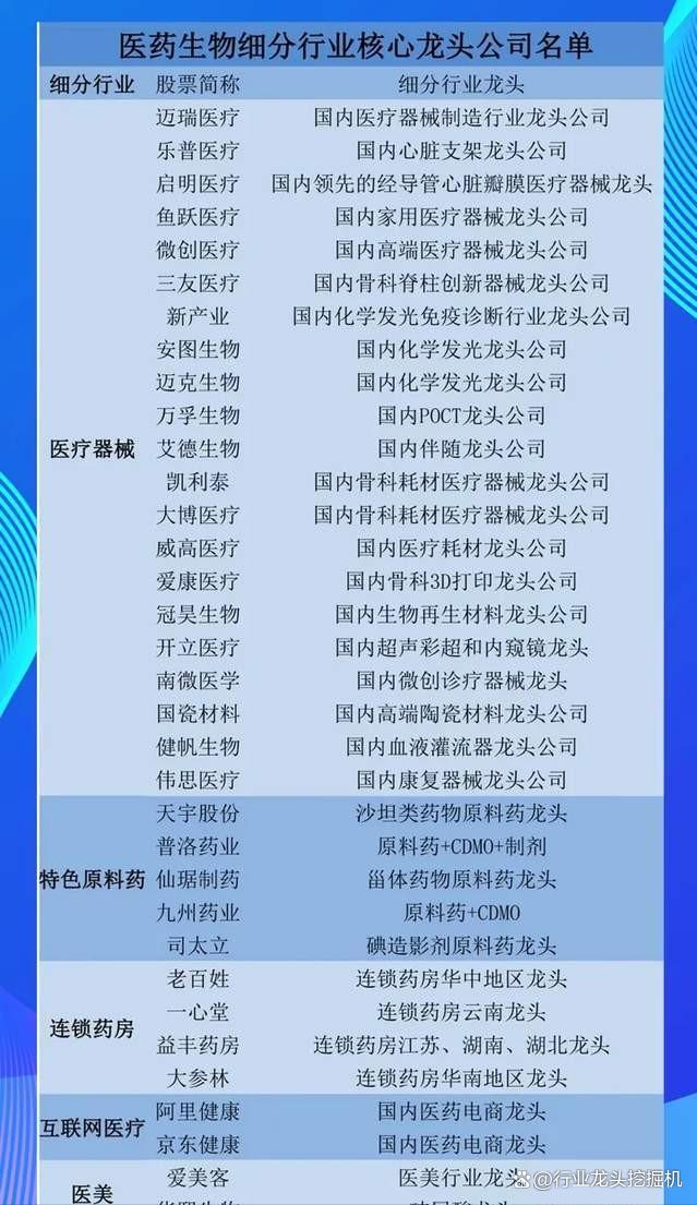 2024新奥资料免费精准051_大科技：消费电子+国内龙头+半导体+医药+汽车+6G+卫星互联网  第18张