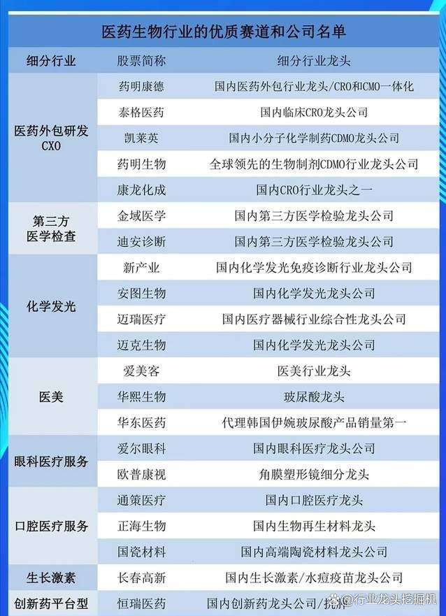 2024新奥资料免费精准051_大科技：消费电子+国内龙头+半导体+医药+汽车+6G+卫星互联网  第19张