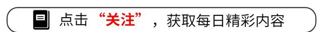 澳门4949资料正版免费大全_纽约时装周：明星风采与时尚趋势的精彩较量