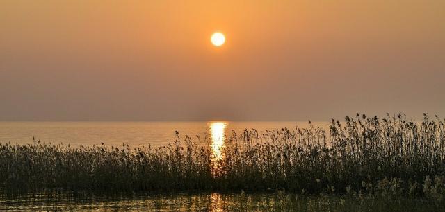 949494王中王内部精选_济源黄河西滩岛：度假胜地，魅力无穷  第3张