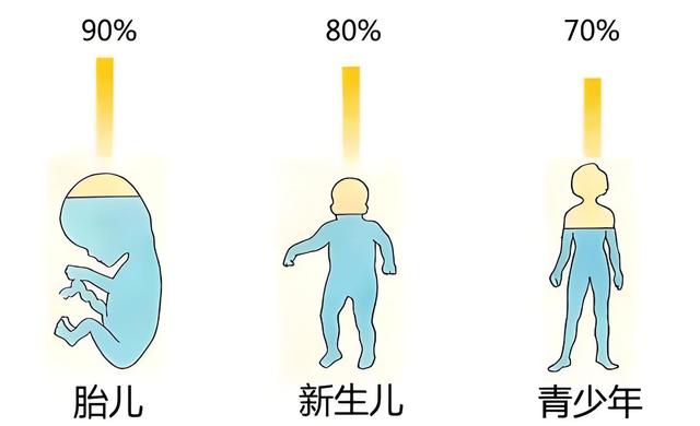 2024新澳今晚资料66期,纯净守护，健康成长：婴儿水——现代家庭育儿新选择  第2张