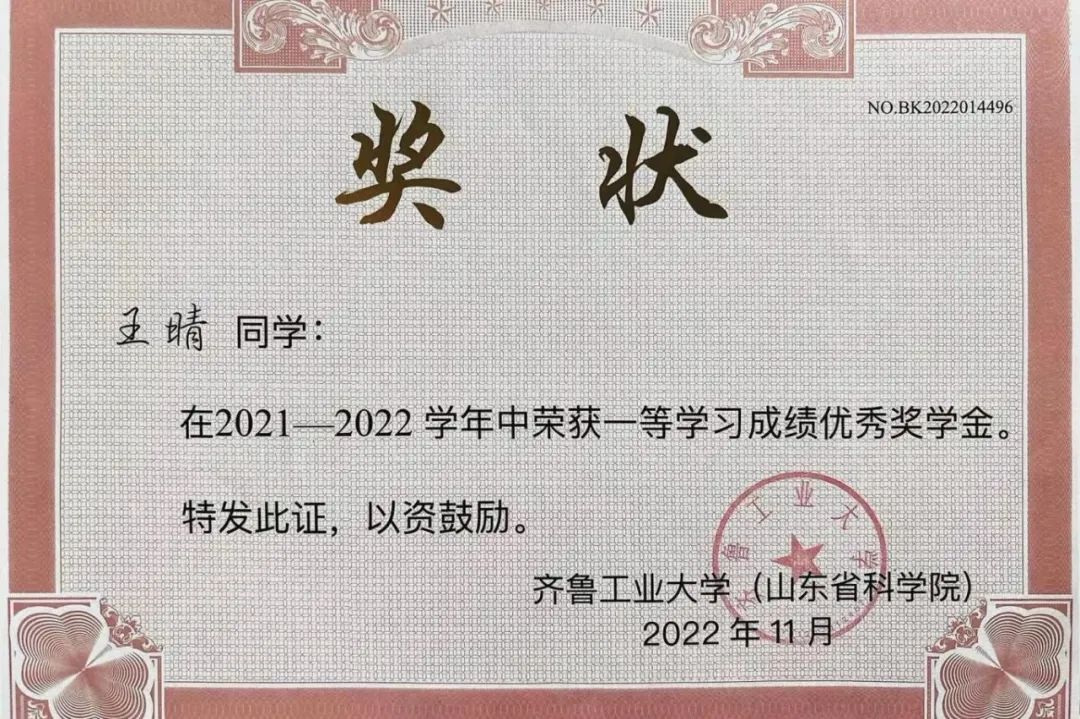 2O24新澳彩料免费资料_连续4学期专业第一、国家创新赛一等奖、互联网+金奖……她是电竞女孩王晴  第14张